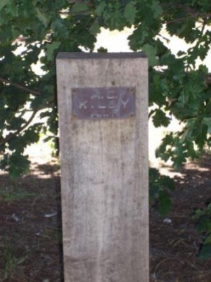 Memorial post and plaque, Hall Memorial Grove